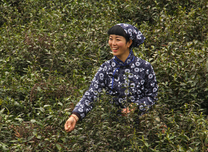 牡丹在线免费观看 热门5